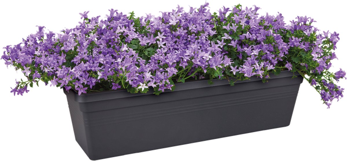 Elho Green Basics Balcony Planter 80 - For Outdoor Balconies