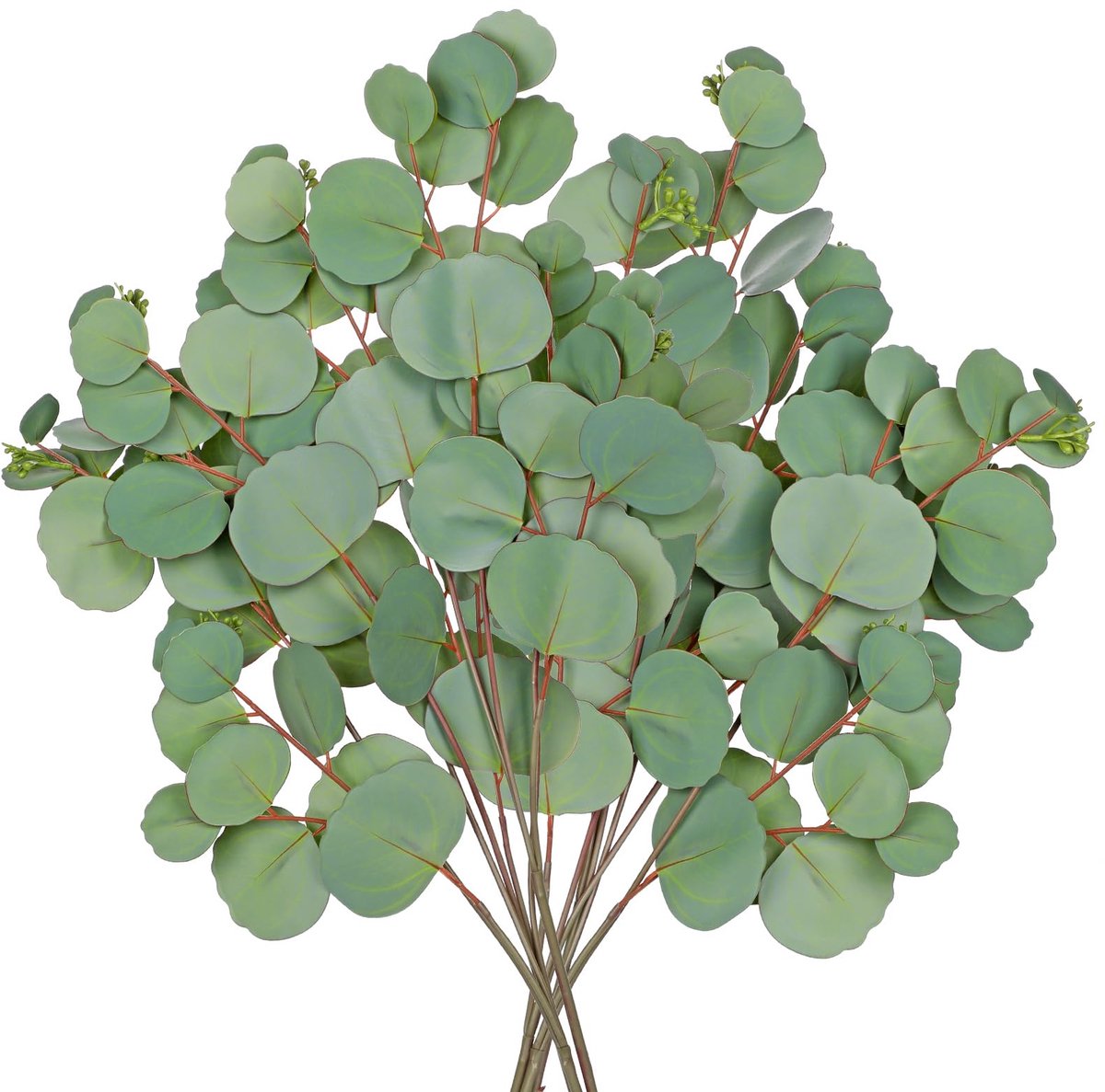 Dailygoods - 6 Stuks Eucalyptus Kunsttakken 77 cm - Decoratieve Kunstplanten voor Woonkame