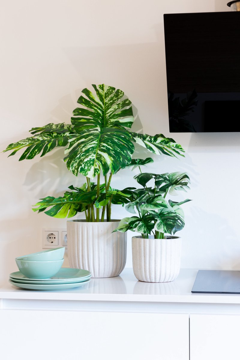 PrettyPlants Monstera Kunstplant 75cm | Kleine Kunstplant | Kunstplant voor binnen | Nepplant Groen