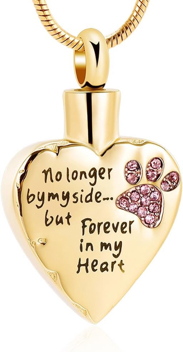 Crematie Sieraden Stainess Staal Hart Keepsake As Ketting Hond Kat Poot Memorial Urn Hanger