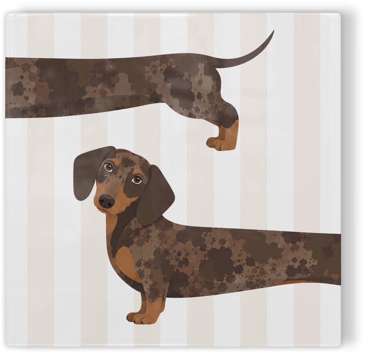 Tegeltje Teckel bruin - beige wit - tegeltje hond - tegeltje met illustratie