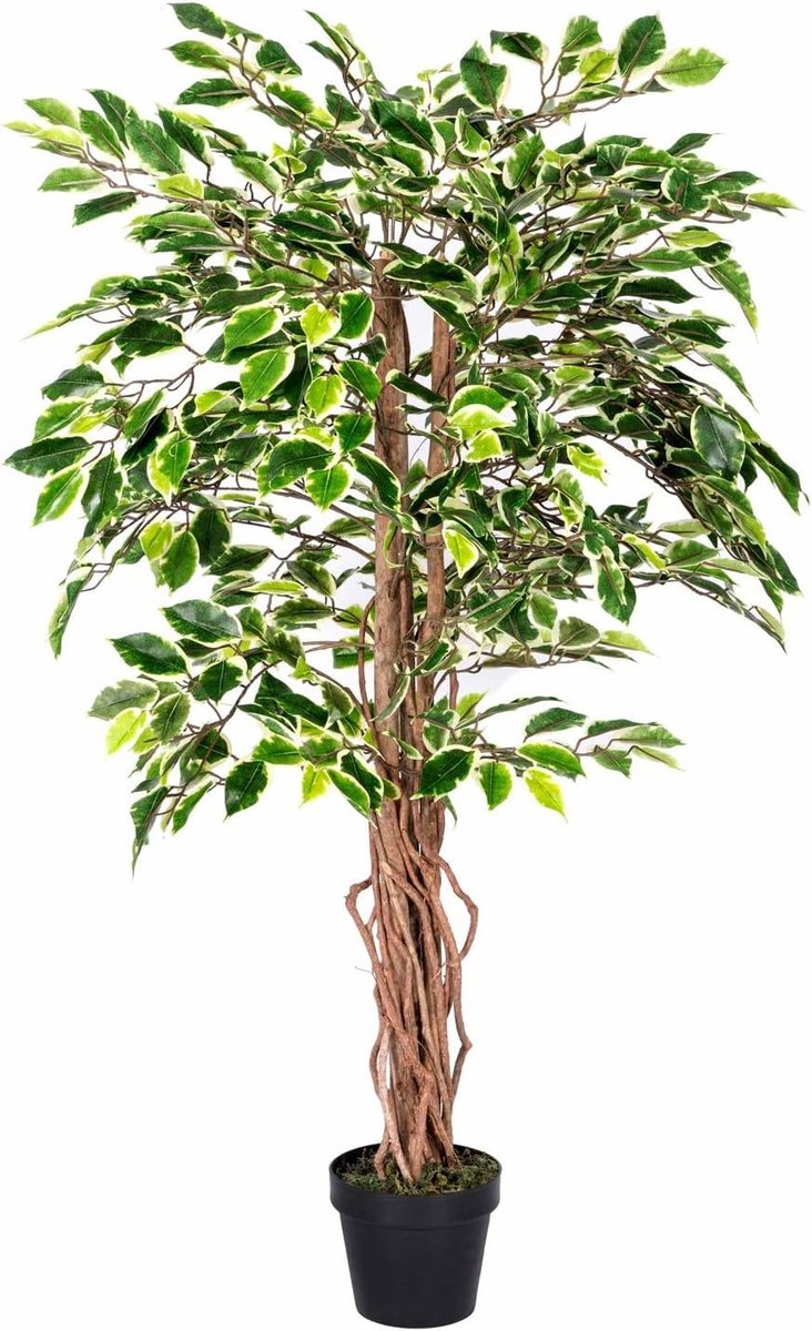 Kunstplant birkenfeige ficus benjamina Groen & gebroken Wit in Pot 122 cm