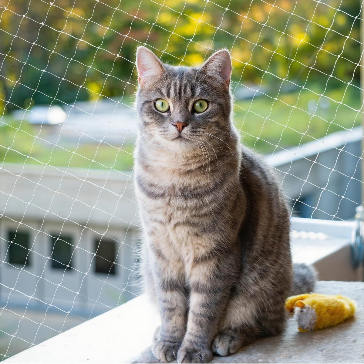 Omgoods - Kattennet voor Balkon, 10 x 3 m, Geen Boren Nodig