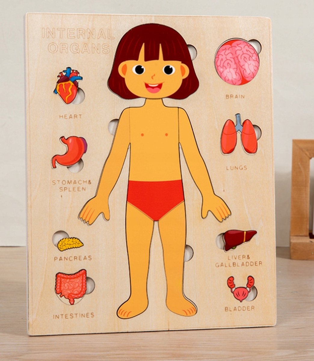 Houten Anatomie Puzzel Menselijk Lichaam - Leer Orgaanspellen voor Kinderen