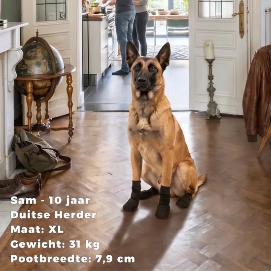 Duitse herder met zwarte antislip sokken, maat XL. Zittend in een hal.