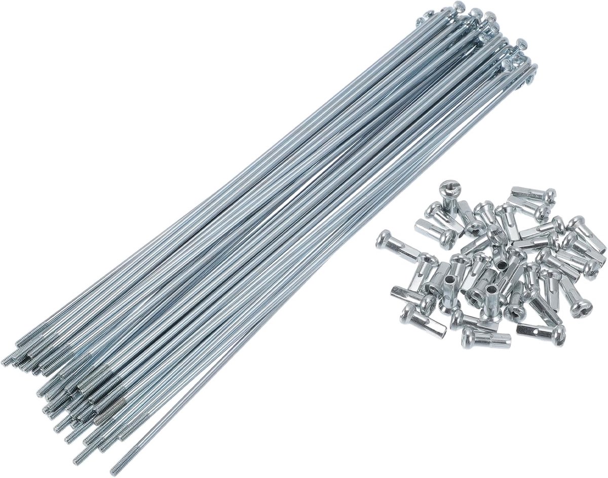 Spaken Fiets Wiel Spaken Silver Tone 1 Set 13G 183mm Lengte 45 Staal Gegalvaniseerd