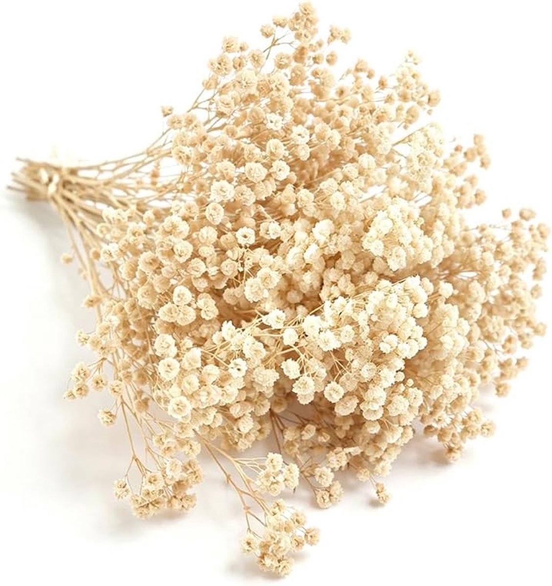 Gedroogde gypsophila bloemen (beige)