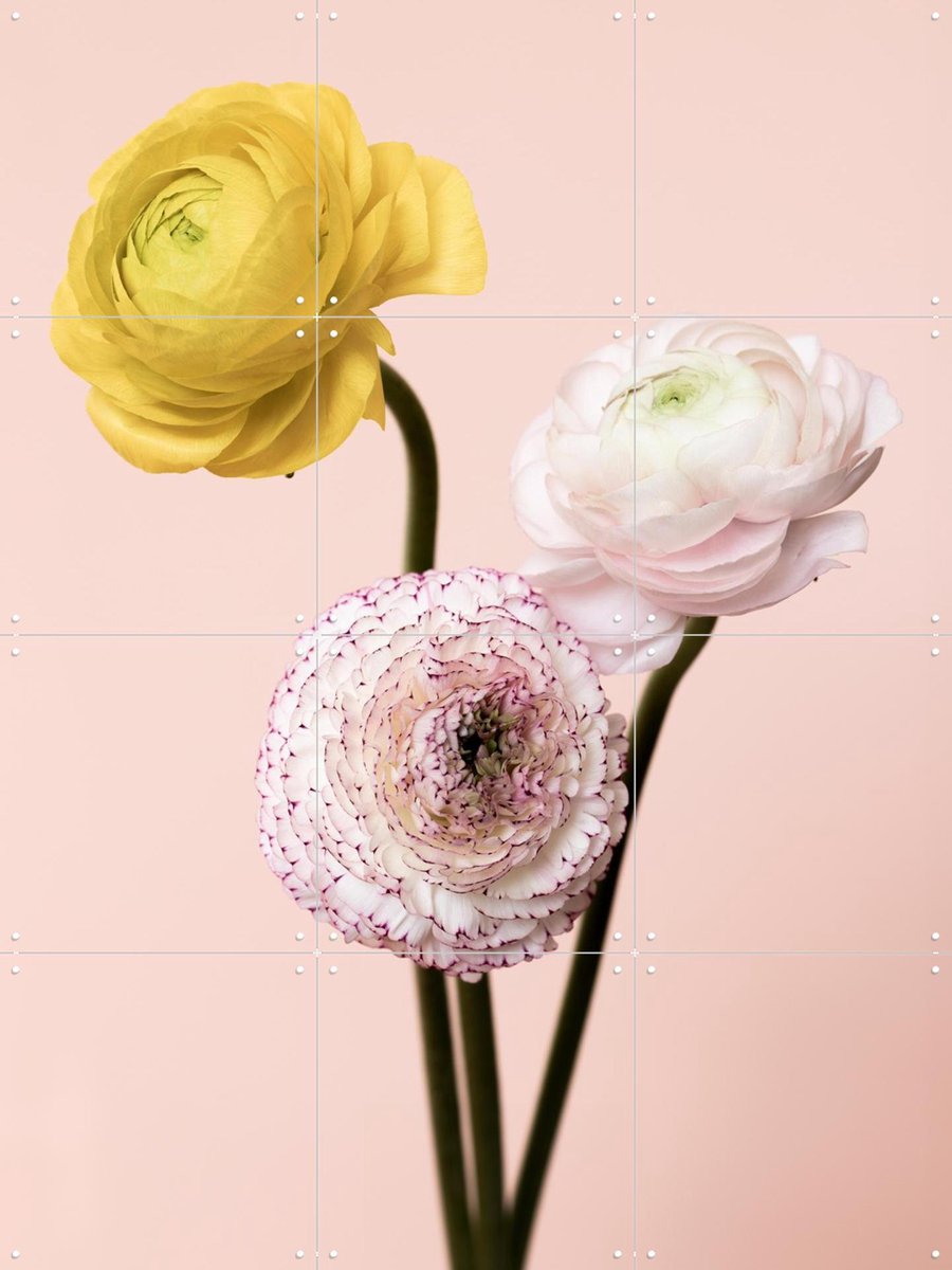 IXXI Three Flowers, Mareike Böhmer - 60 x 80 cm - Gratis ophangtool - Grote wanddecoratie en posters - Fotografie, Eetkamer, Gang, Woonkamer