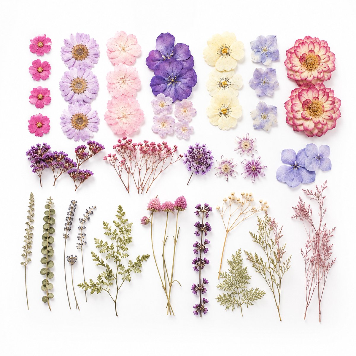 BOTC Natuurlijk Gedroogde Bloemen - Droogbloemen - 70 Stuks - Gypsophila Bloemen - Hars Nail Art - DIY Knutselen - Geperste Bloemen Kleurrijk 1 Paar