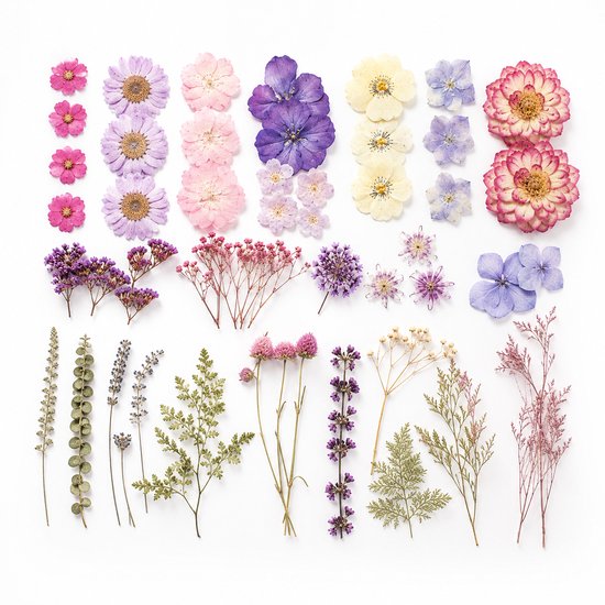 Een verzameling van 70 gedroogde bloemen en bladeren in diverse kleuren en vormen, waaronder roze, paarse, gele en blauwe bloemen, en groene takjes.