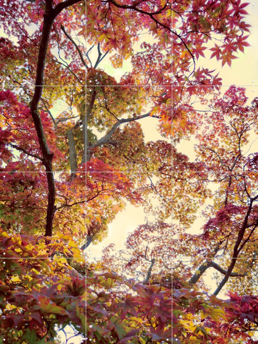 IXXI Japanese Garden, Angelo Cerantola - 60 x 80 cm - Gratis ophangtool - Grote wanddecoratie en posters - Kleurrijk, Slaapkamer, Woonkamer, Gang