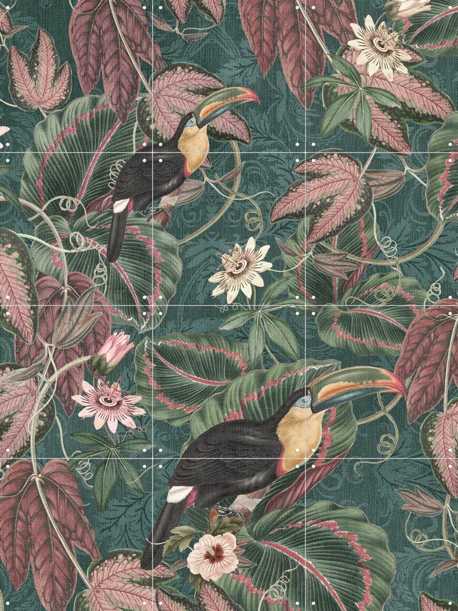 IXXI Jungle Toukans Passiflora Garden, Bloomery Decor - 60 x 80 cm - Gratis ophangtool - Grote wanddecoratie en posters - Kleurrijk, Ornamenteel