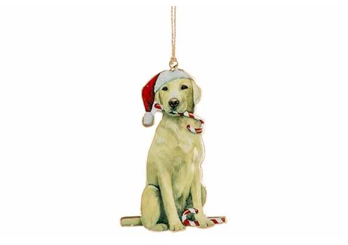 Hanger Vintage Dog Bruin 10x,5xh16cm Ijz Er