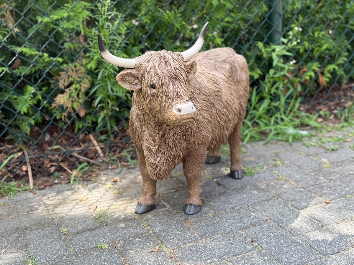 Goodyz- Boerderij dieren - Koe - Kalf - Hooglander - met Hoorns - staand - 75cm lang