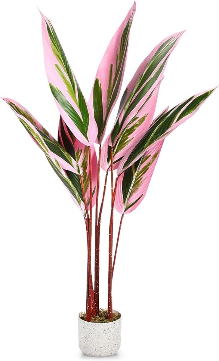 Danky Decoratieve Calathea kunstplant 120cm - Onderhoudsvrij - Cadeau voor verhuizing, verjaardag en afstuderen