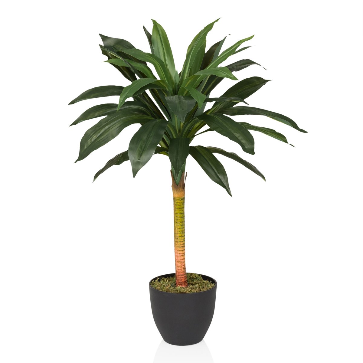 hjh office Kunstplant DRACAENA I Groen hjh OFFICE