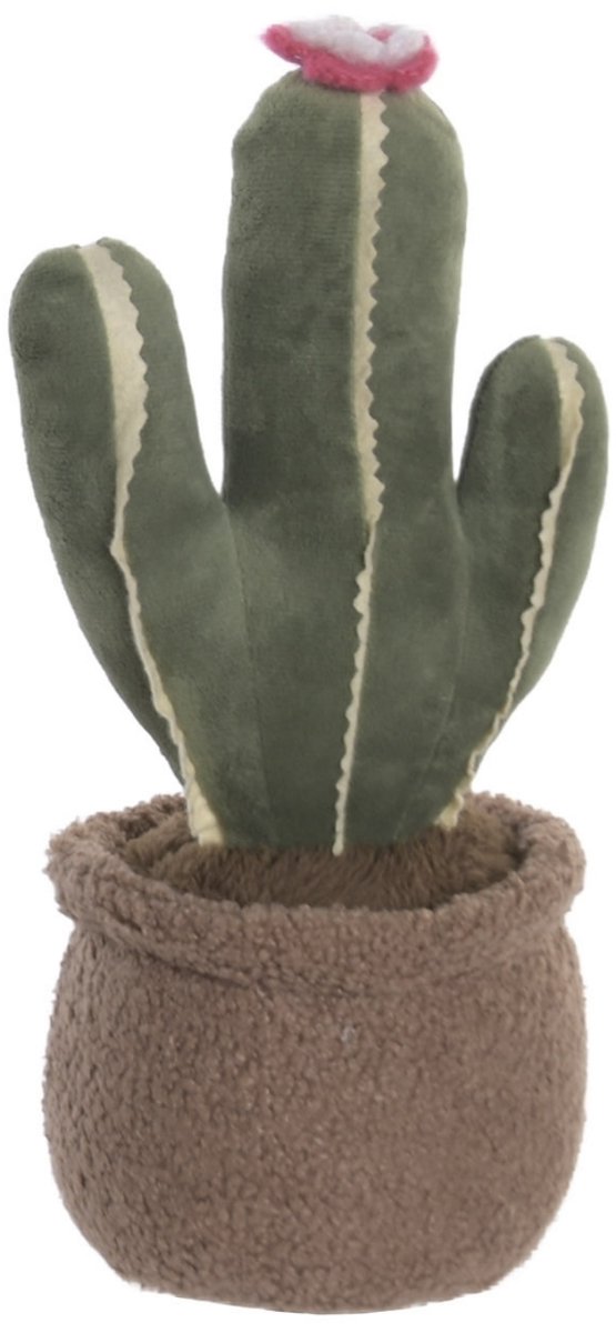 Cactus deurstopper - Item Int.