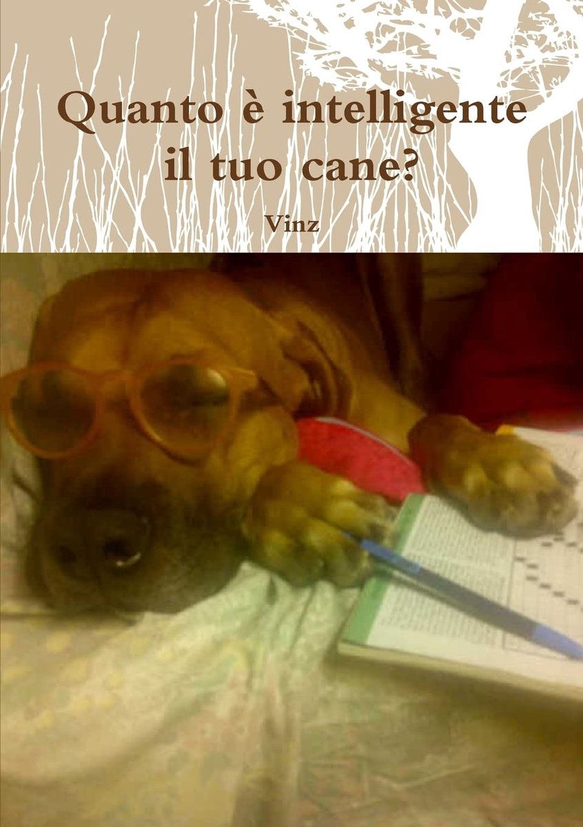 è intelligente il tuo cane?
