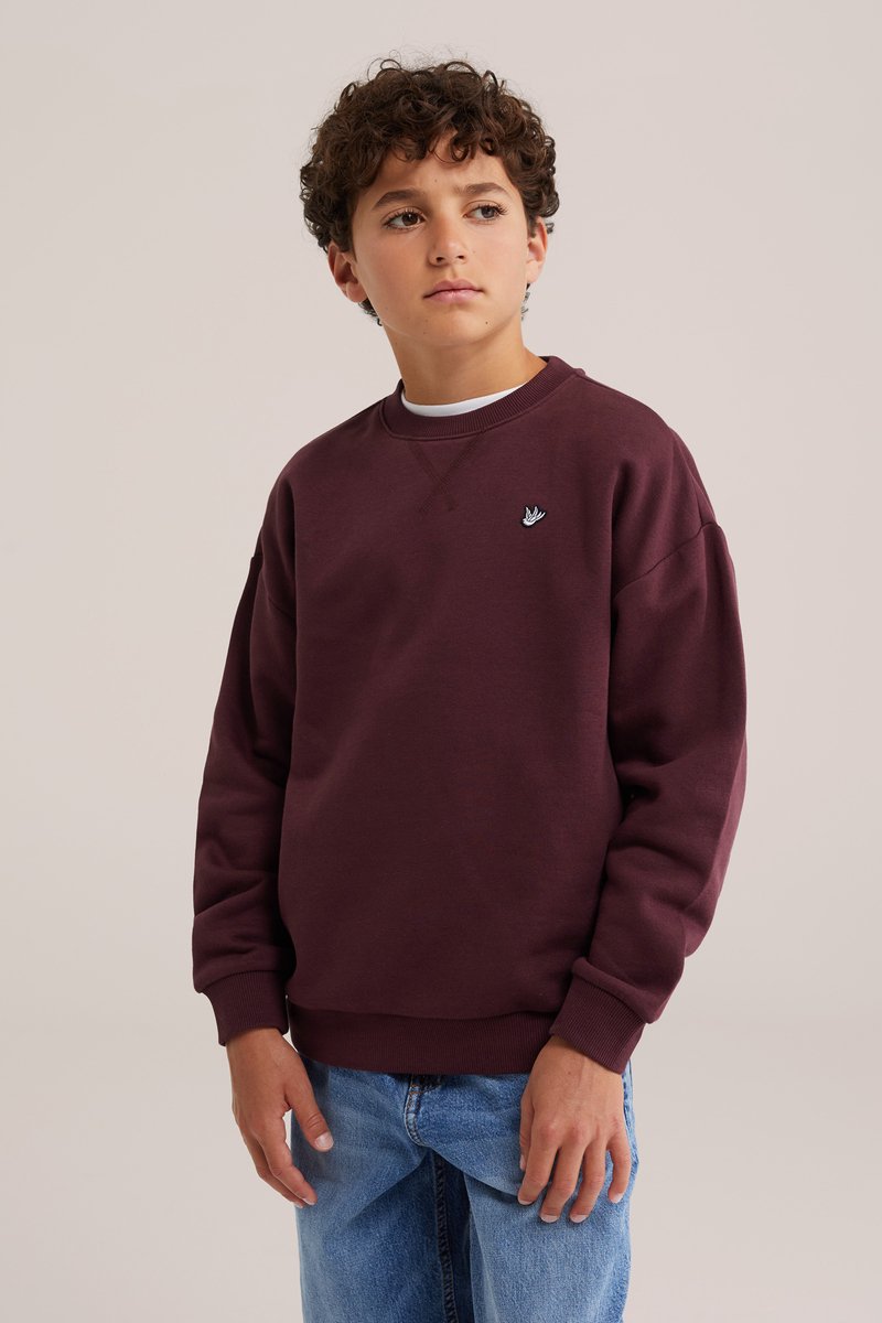 WE Fashion Jongens sweater met embroidery