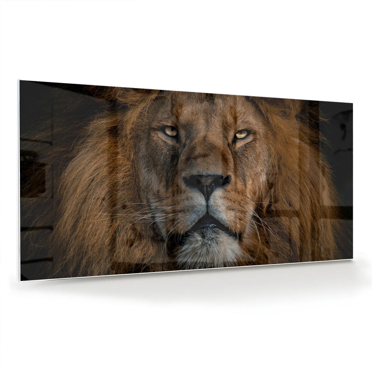 Mydesignglas Glazen Schilderij – Majestueuze Leeuw op Glas – Wanddecoratie op Gehard Glas – 100x50cm