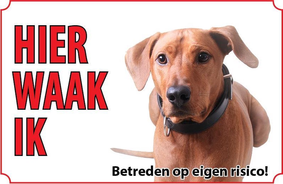 Bord - Hond Rhodesian Ridgeback