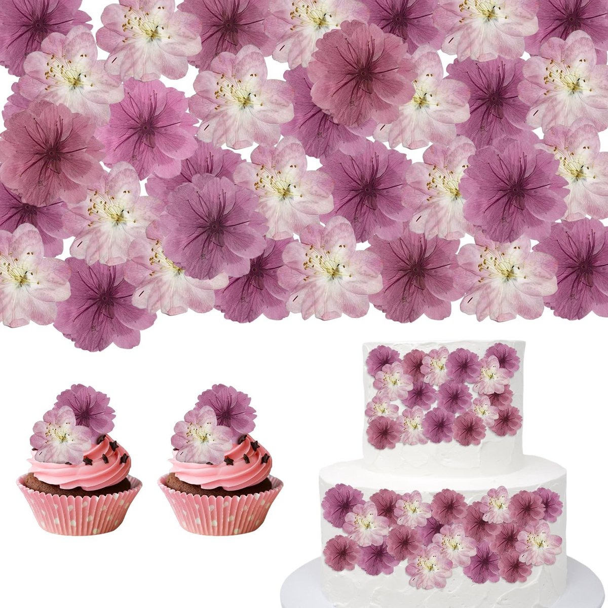Dailygoods - 48 St. Torkade Blommor - Natuurlijke Decoratieve Bloemen voor Taarten en Cocktails
