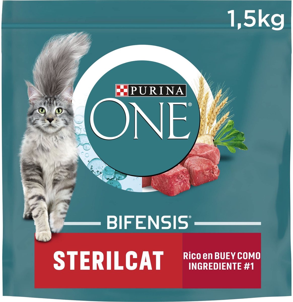Solidchoice - Droog Kattenvoer voor Geholpen Katten met Rundvlees en Tarwe