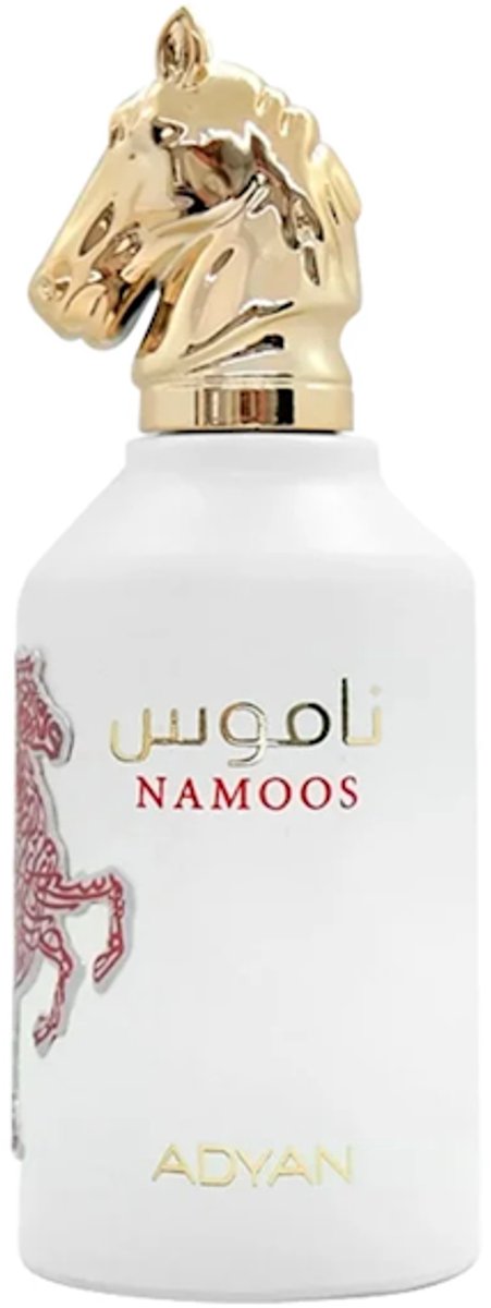 ADYAN NAMOOS EDP 100 ML