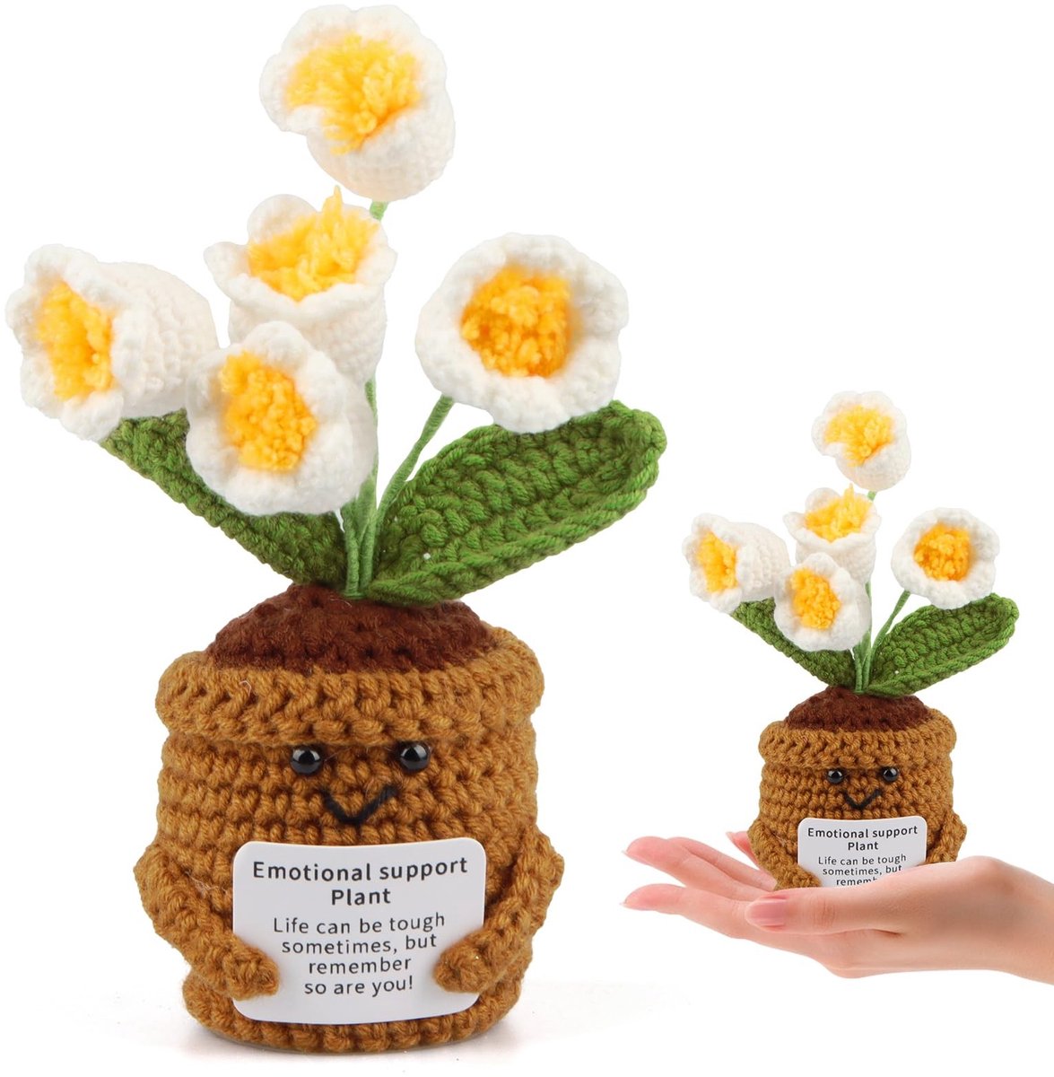 Solidchoice - Positieve Forget-Me-Not Bloemen als Cadeau voor Geliefden