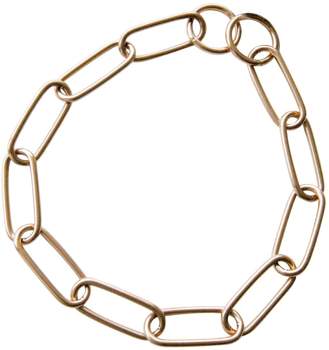 Solidchoice - Lange Hondenhalsband met Curogan Verbindingen