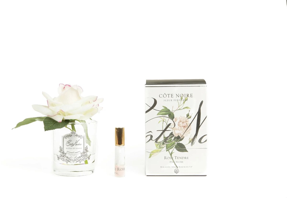 Cote Noire Perfumed Natural Touch Single Rose - Clear Glass & Pink Blush