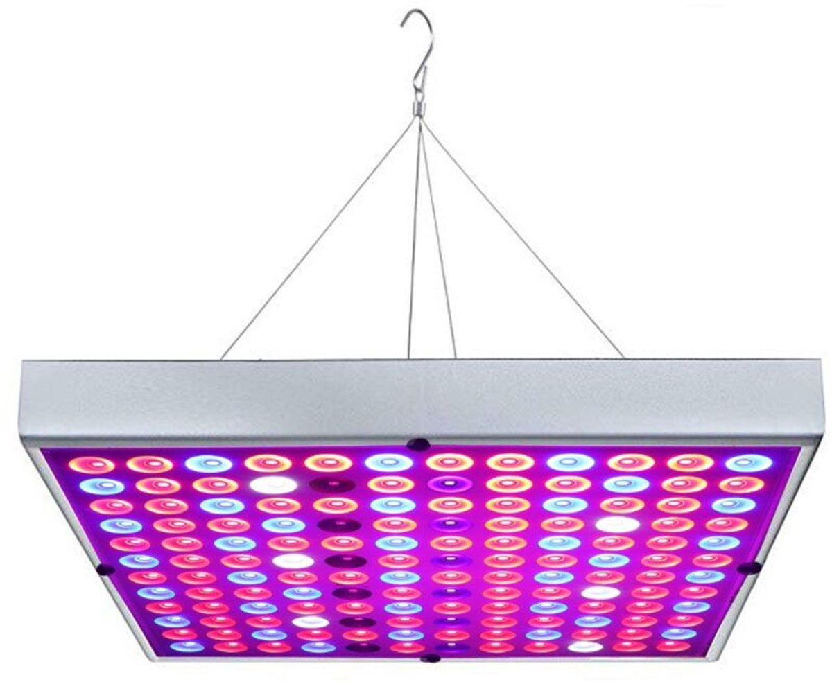 Deze LED-lamp verhoogt het uitgangsvermogen van ultraviolette en infrarode plantengroeilampen tot 45 watt, waardoor hij is geschikt voor hydrocultuurplanten binnenshuis.