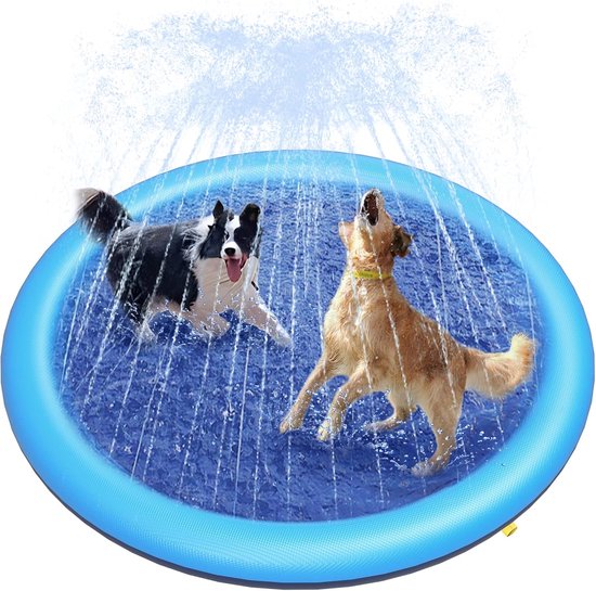 Un border collie et un golden retriever jouent dans une piscine à jets d'eau bleus gonflable avec des fontaines d'eau.
