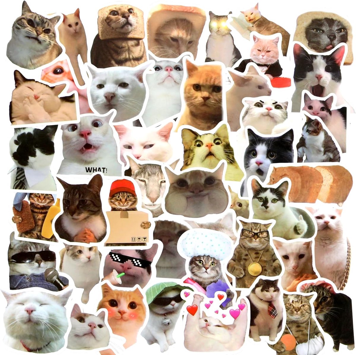 Thijox - 50 Grappige Kittens Stickers | Kawaii Vinyl Plakstickers | Waterdicht voor Waterflessen, Laptop, Telefoon | Perfect voor Plakboeken en Katten