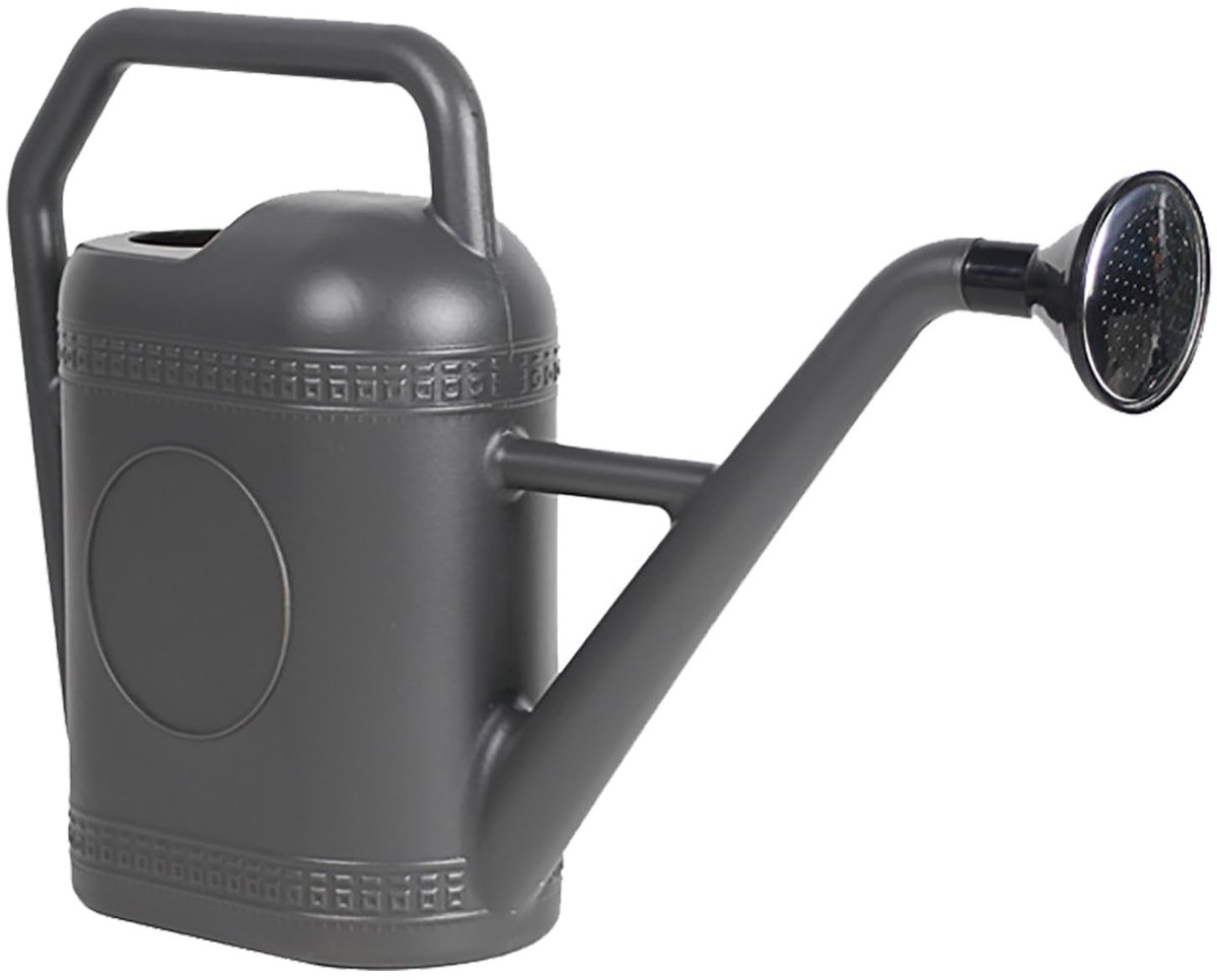 Dailygoods- Plantengieter 5L Grote Lange Uitloop - Tuinemmer met Sproeikop - Gieter voor Binnen - Gieter voor Buiten - Stevige Constructie - Waterbesparend