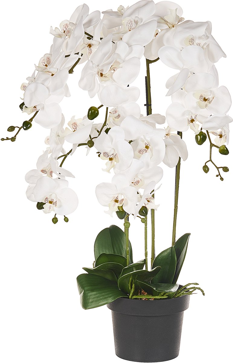Beliani ORCHID - Kunstplant - Wit/Groen - 63 cm - Synthetisch