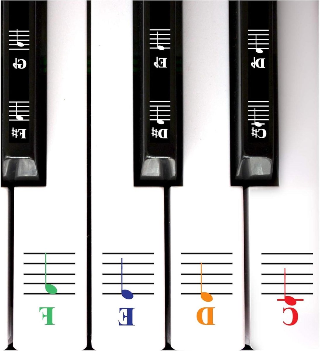 Muzieknoten Stickers - Piano Toetsen - Snel Leren - Kleurgecodeerd Ontwerp - 88 Stuks - Zwart