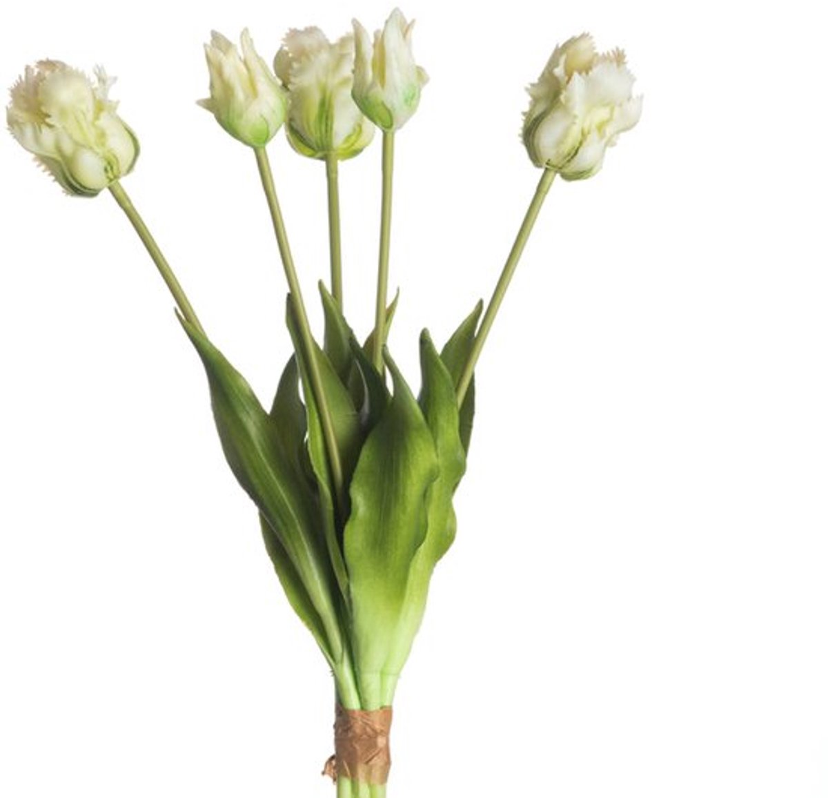 Parrot kunst tulpen boeket van 5 White/Green parrot kunsttulpen-Real Touch Parrot Tulip x5 L40cm White/Green