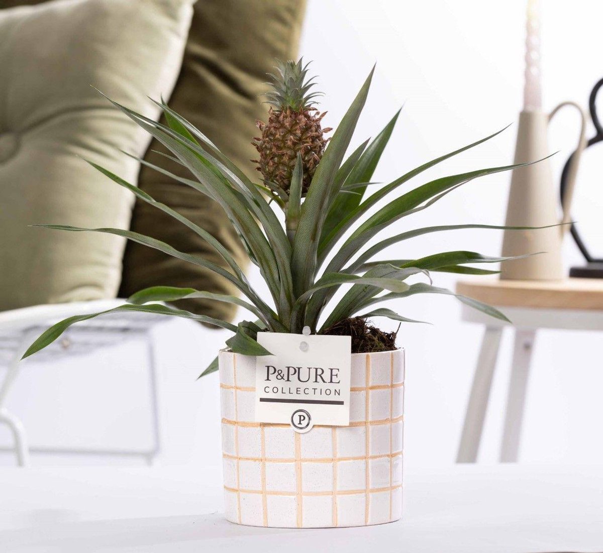 Ananas Rosita In P&PURE Tirza Ceramics - Ø12cm - 35cm