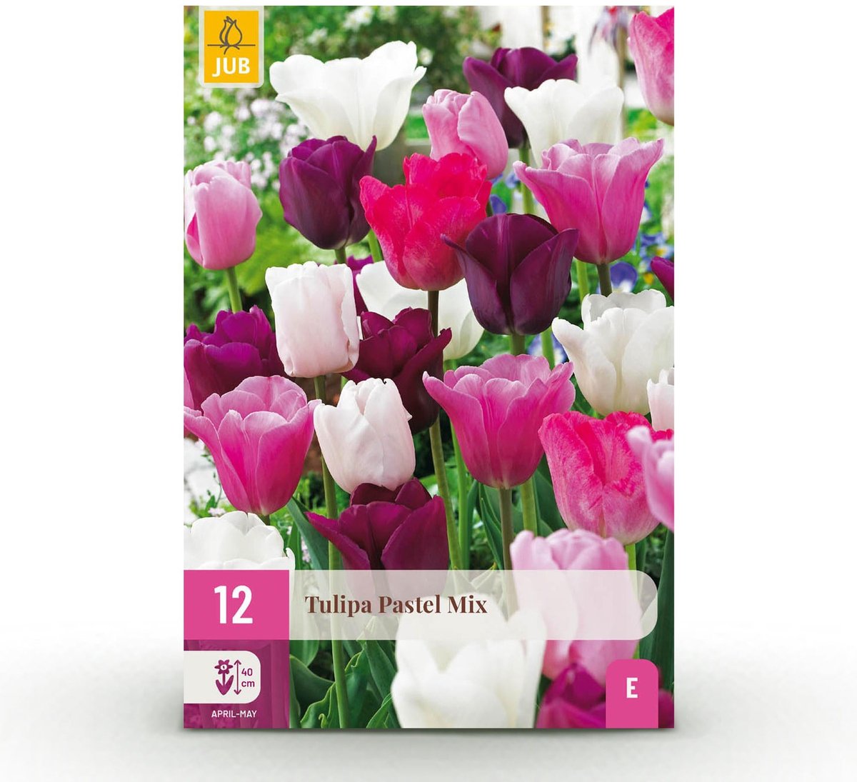 Bloembollen - Tulp Pastel mix - Diversen Kleuren - 12 stuks - Bolmaat 11/12 - XXL Pack