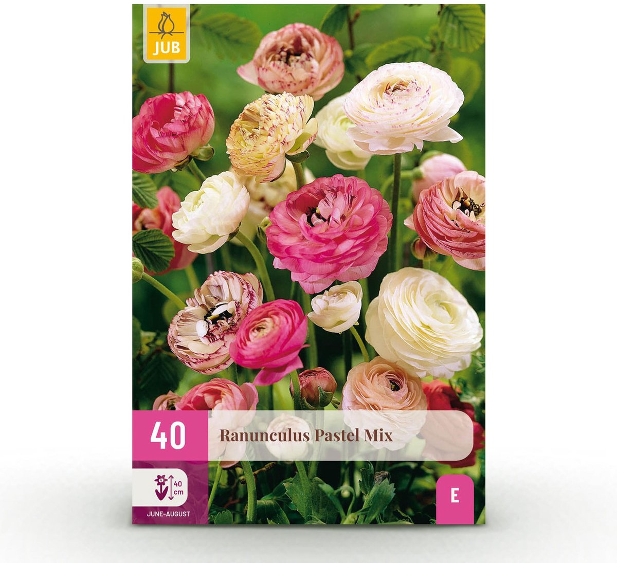 Bloembollen - Ranunculus Pastel Mix - Diversen Kleuren - 40 stuks - Bolmaat 5/6 - XXL Pack