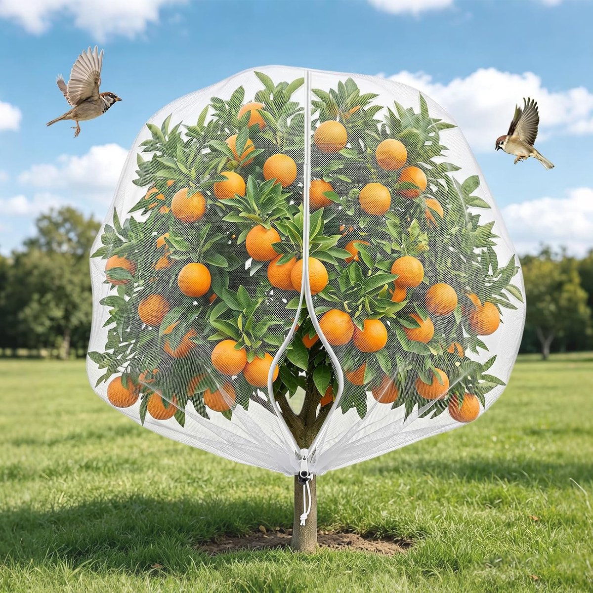 Fruitboom net 1.8m x 1.8m - met rits en trekkoord - fijne mesh bescherming - ideaal voor fruitbessen - SnelShoppen