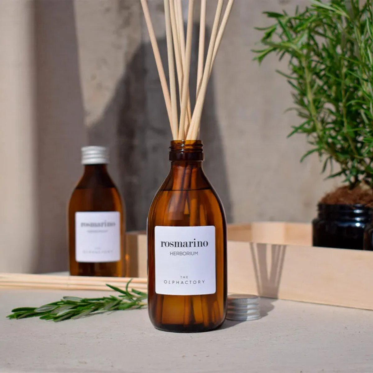 The Olphactory Fragrance Diffuser | rosmarino herborium 250 ml