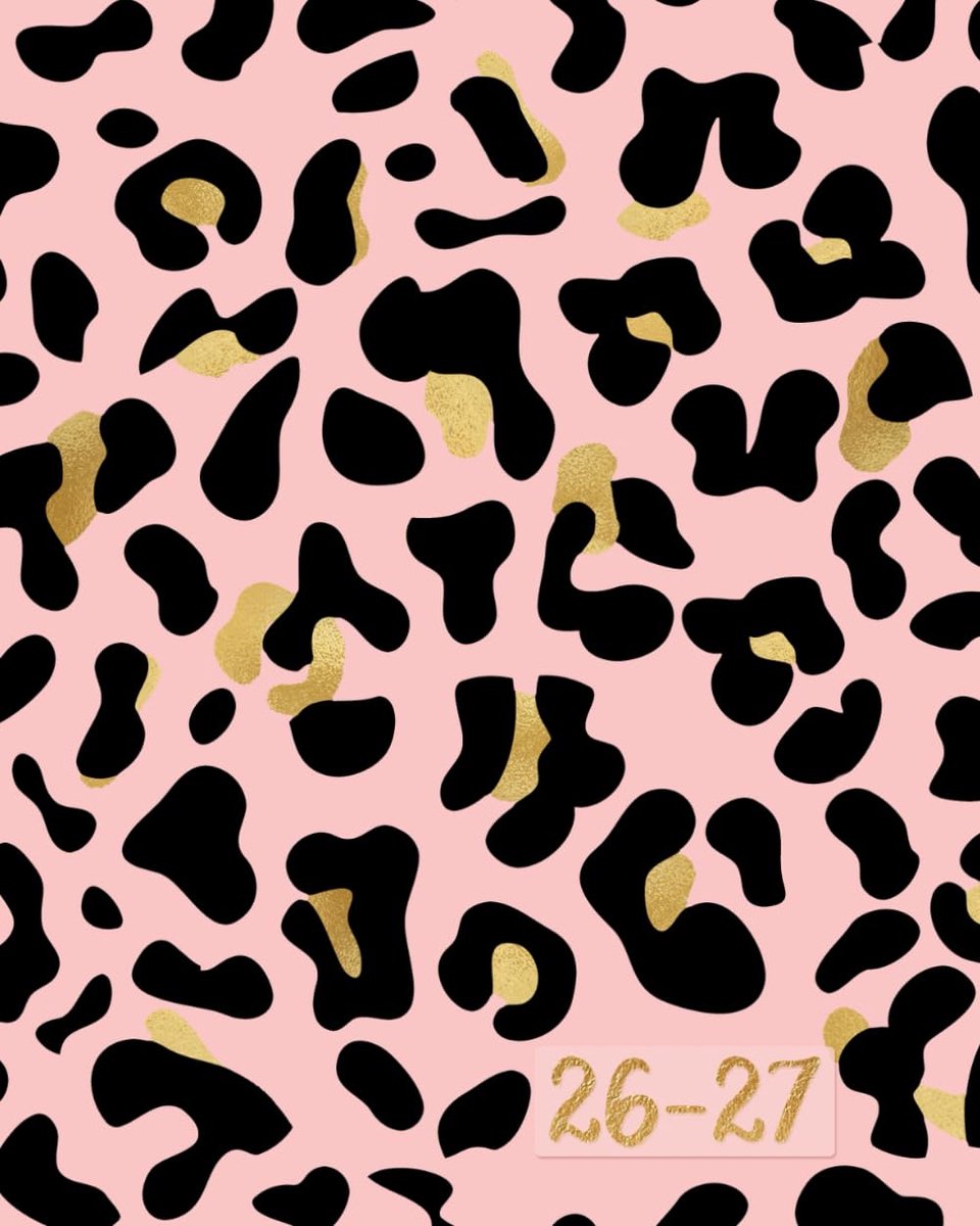 SnelShoppen - Pink and Gold Maandplanner 2026-2027 - Grote Agenda met Luipaardprint voor Vrouwen - 2 Jaar Kalender - Januari 2026 tot December 2027