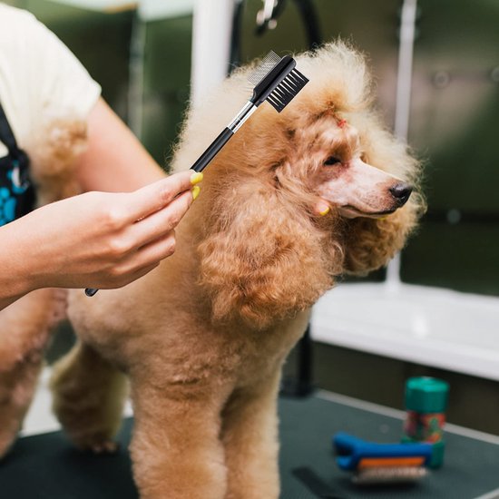 Hond Traanvlekkenverwijderaar Kam, 6 Stuks Kat Vlooienkam Verzorging Oog Borstel Huisdier Dubbelzijdige Kam Voor Kitten Puppy — afbeelding 2