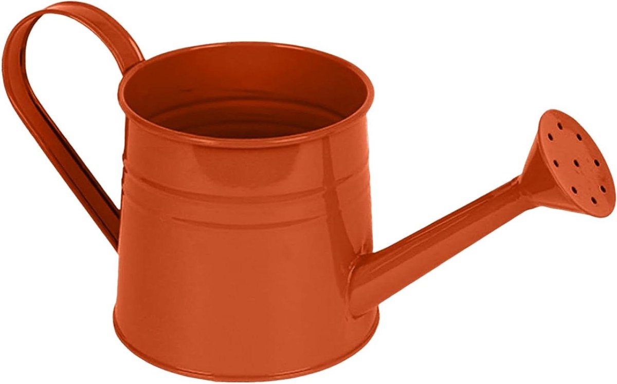 Metalen Gieter - Waterkan Planten - Tuin Bewateren - Vergrote Waterinlaat - 1 Liter - F