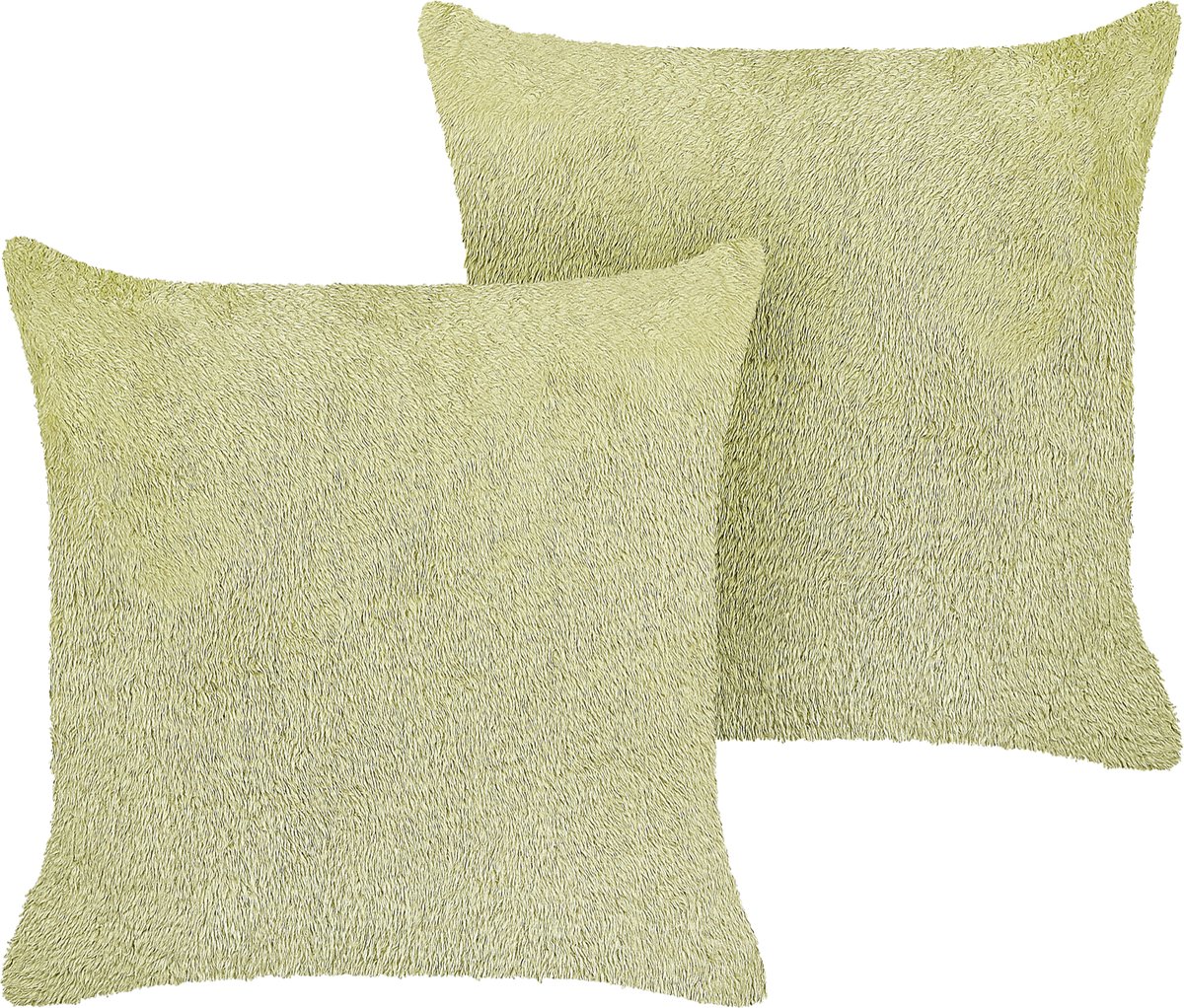 Beliani PILEA - Sierkussen set van 2 - Lichtgroen - 45 x 45 cm - Polyester