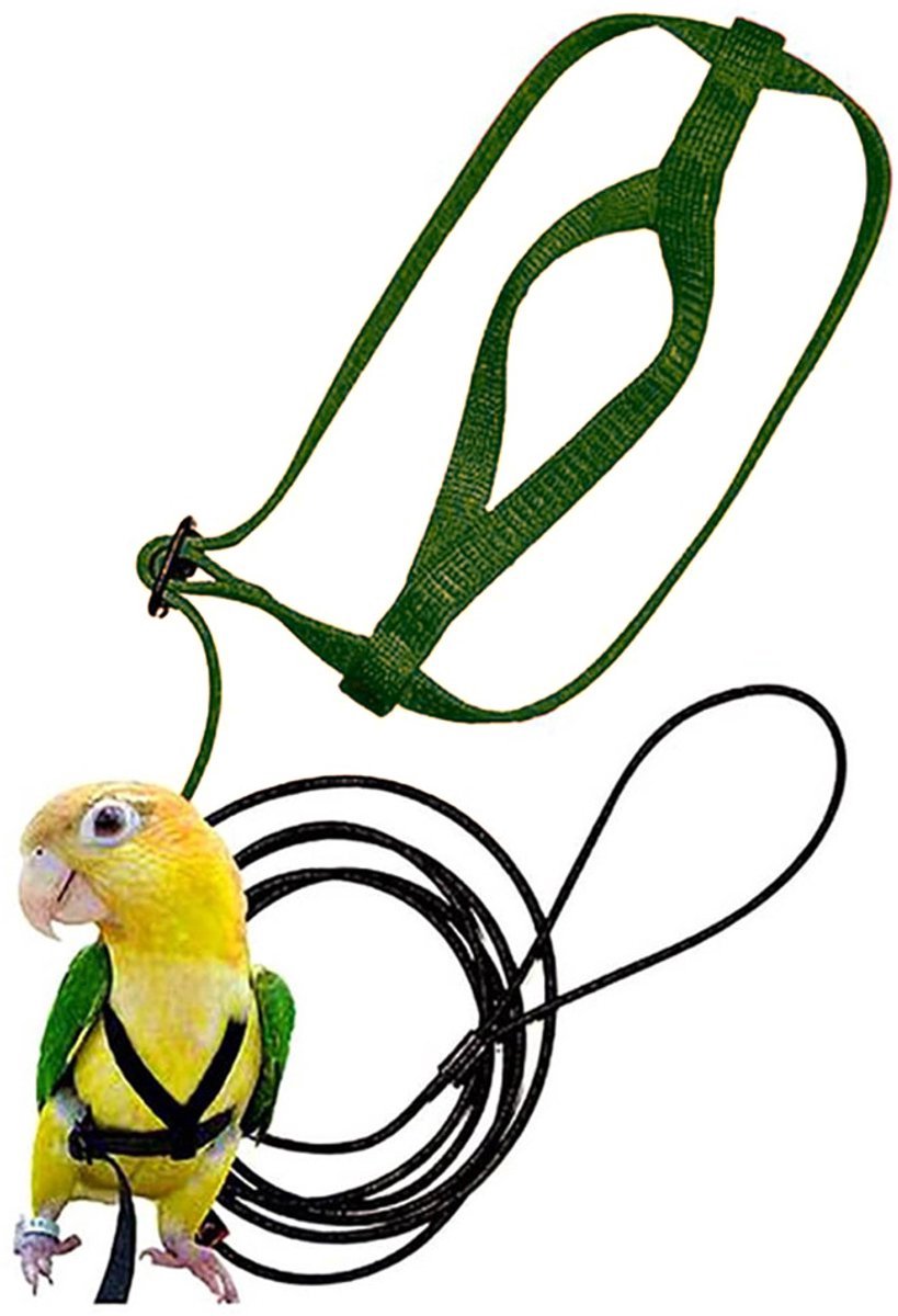 Verstelbaar vogeltuigje en riem - inclusief riem - trainingsaccessoires - geschikt voor geelnekamazonepapegaaien, roze kaketoes en kleine tot middelgrote papegaaien - geschikt voor vogels met een maximale borstomtrek van 62 cm - maat L - groen