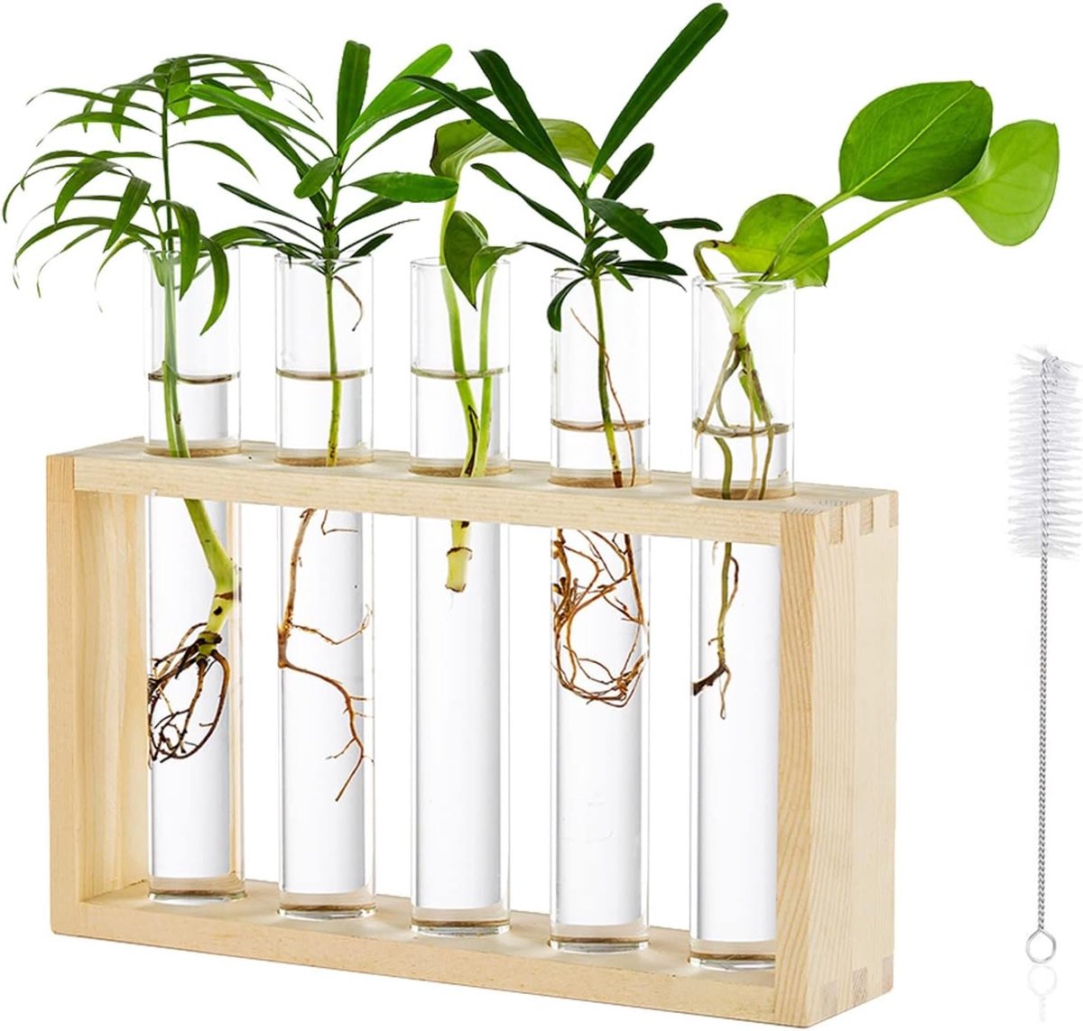 SnelShoppen - Modern Glass Planter Grow Station Test Tube Bloemen Germinatie Vaasje met Houten Stand Rack - Hydroponics Planten Decoratie voor Thuis e