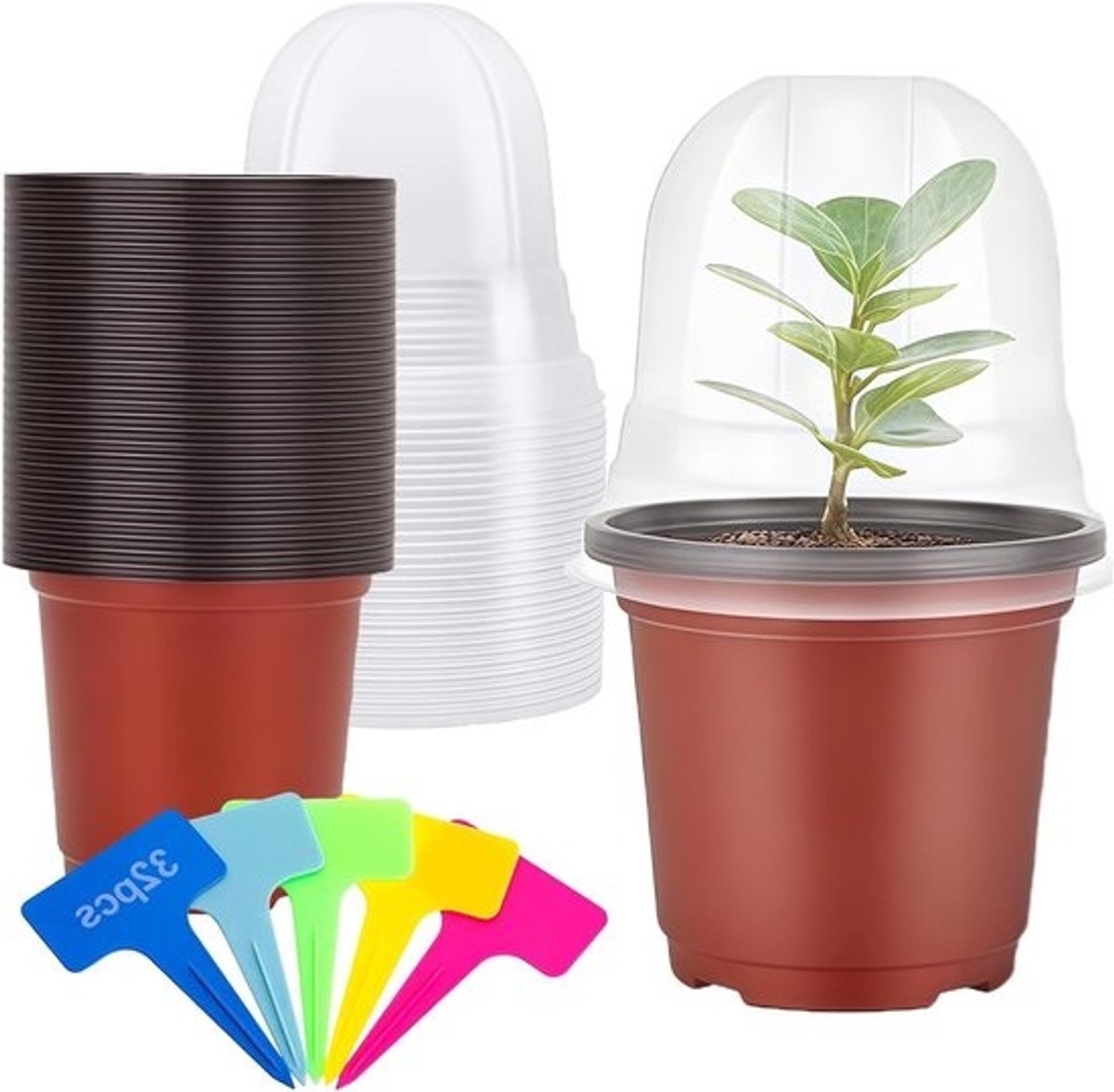 Set van 32 Plastic Plantenpotten met Vochtige Deken - 10 cm, Ideaal voor Zaailingen, Binnenplanten en Vetplanten met Labels